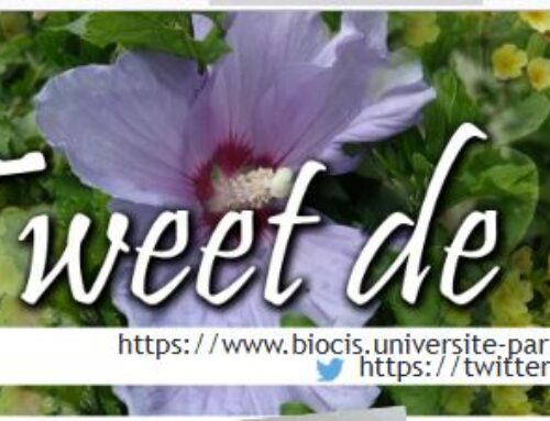 Le TWEET de BioCIS – n° 19