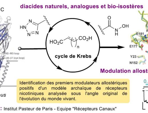 Pharmacochimie & Pharmacologie