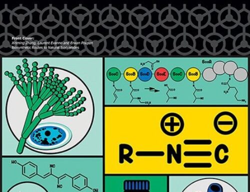 Biosynthetic Routes to Natural Isocyanides