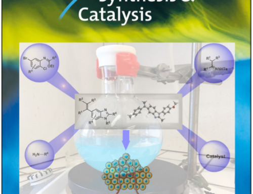 N -Tosylhydrazones in Action