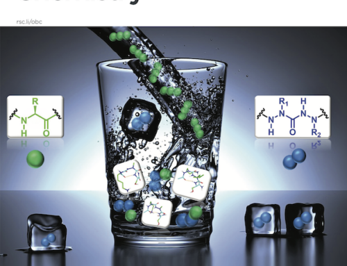 Two consecutive aza-amino acids in peptides promote stable β-turn formation in water